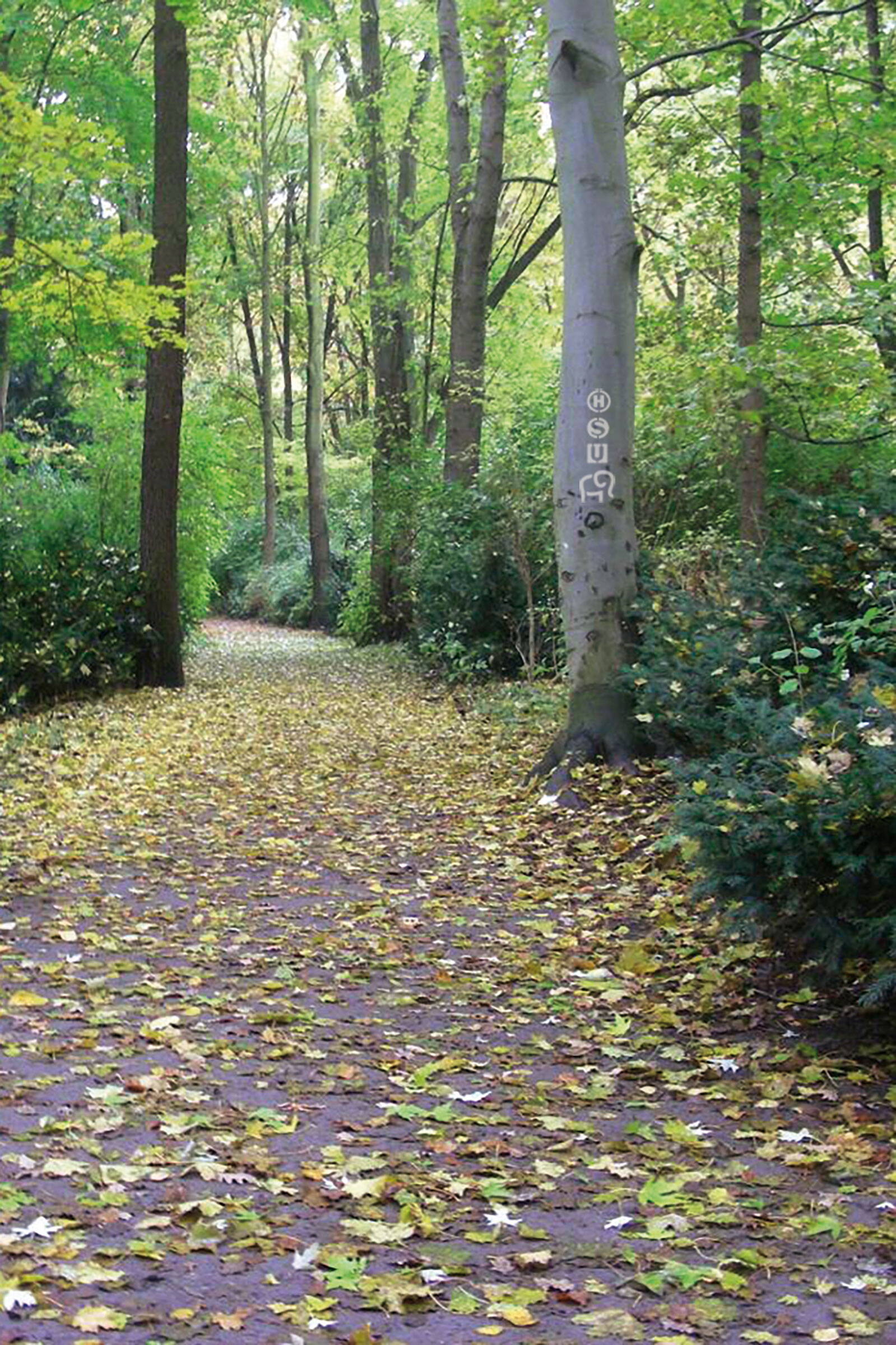 signaletik-berlin-zielfuehrung_05.jpg